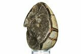 Septarian Dragon Egg Geode - Sparkly Black Crystals #308818-1